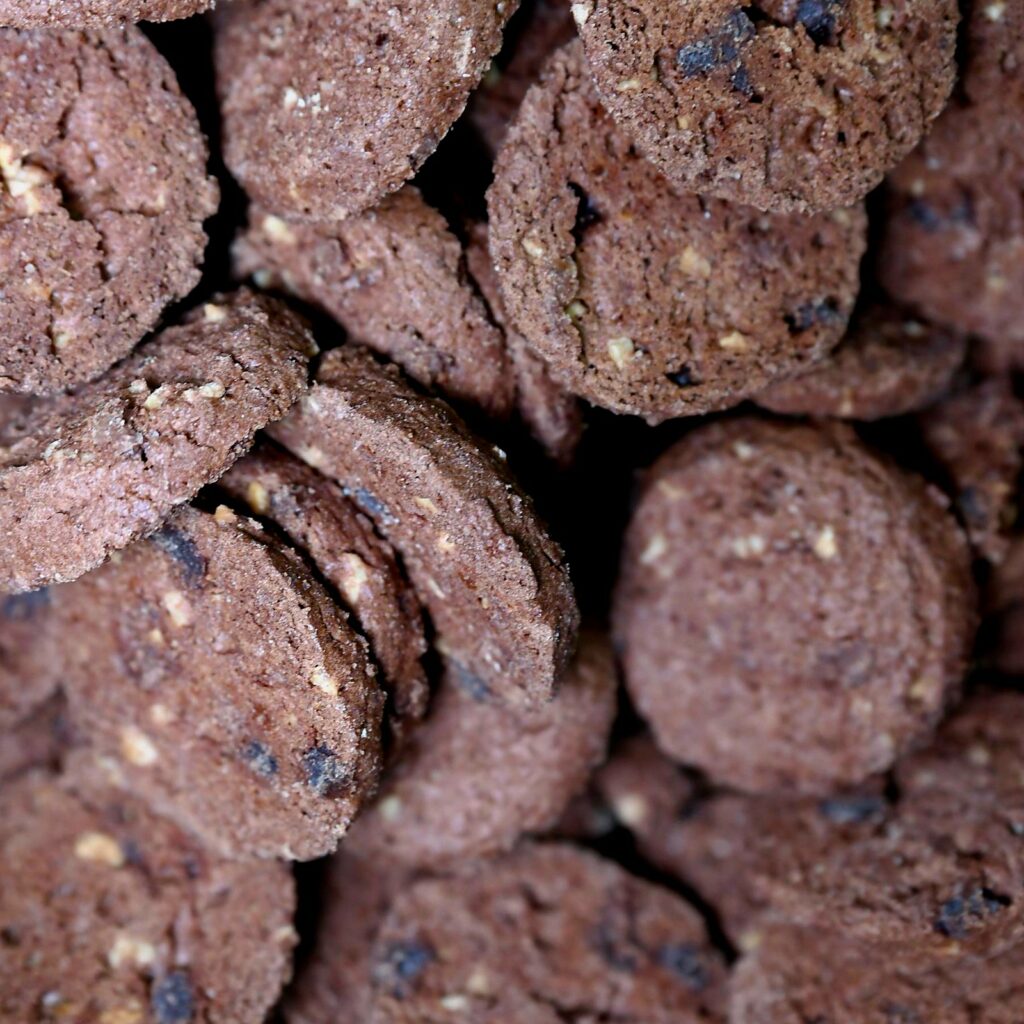 Bio Schoko-Haselnuss-Cookies